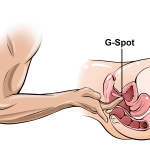 How Do You Know When a Girl Squirts? Signs Sensations and Technique