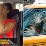 Fake Driving School