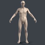 Zombie Naked 3D
