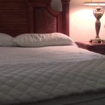Porn Videos Free No Sign Up