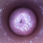 Free Inside Pussy Porn Videos