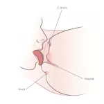 How to Eat Pussy: Oral Sex Tips Secrets to Please Her