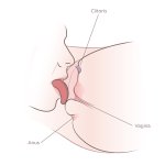 How To Eat Pussy Like A God: 34 Cunnilingus Tips To Make Her Addicted