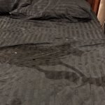 TW Pornstars