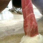 Dragon nep sperma dildo anaal