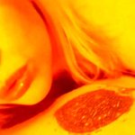 Chloe Grace Moretz Nude Photo and Video Collection