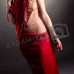Mehndi. Charming model posing semi-nude in sari by rivertime Vectors Illustrations with Unlimited Downloads