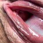 Free Hairy Pussy Close up Porn Videos
