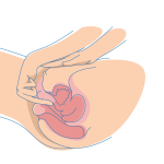 Vaginal Massage