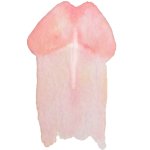 27 Orgasmic Blow Job Tips To Make Your Man Explode!
