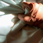 15 Mind-Blowing Masturbation Tips for Men