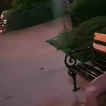 Crazy girl masturbate and pee on public street-Public exhibitionist