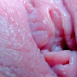 Poesje spreiden extreme close-up
