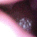 Anal Camera Inside Porn Videos: Free XXX-rated Sex Videos 2026