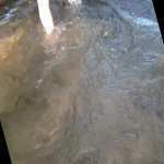 Anal on the river