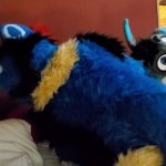 Brff Murrsuit Party orgy breeding and all kinds of furry sex