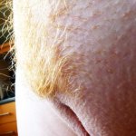 Naked redhead cameltoe pussy