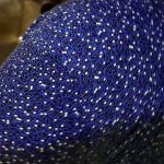 MILF Hot tia na cozinha ela estava com teso ao galo eu vejo seus peitos enormes e bunda grande