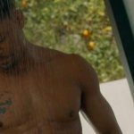 CURTIS HAMILTON Nude