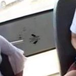 Bus Sex