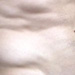 eroticstrength onlyfans