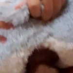 Fucking his plush
