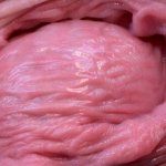 Quite Meaty