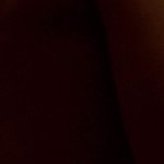 SIVAN NOAM SHIMON Nude