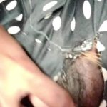 Malayali Step Mother Nisha Nair Hot Sex with Step Son ft. ThickMallu by Thick Mallu: Mom Indian Tits Desi Homemade Porn