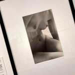 photography exhibitions from around the world