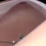 Blonde Masturbating In Hotel Room Through Window Voyeur Hidden Spycam