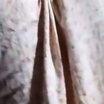 Vlogger Trisha Full Nude Big Melons