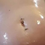 BBW MILF OILED BELLY PLAY