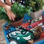 Coroas exibicionistas