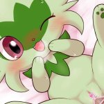 Rule 34