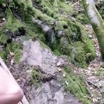 Ilmaiset MMM100 Koiratyyli Porno Videot: mmm100.com 5