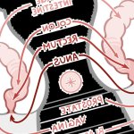 An In-Depth Guide to Anal Training Stretching Gaping