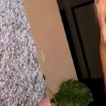 BBC Bikini Haul: Big Tits Amateur Babe Porn
