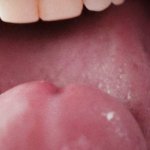 Sloppy blowjob from asian girl gets bright cum from frenulum licking close-up pov vertical video feat. YourCuteEvil