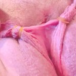 Tying rubber bands around huge pussy lips