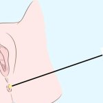 Anal Orgasm