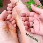 Sisygarcia4