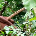 Video of Uncontacted Amazon Tribes in Brazil Sparks Debate