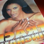 Vintage Semi-Nude Pinup Wall Calendar Traci Bingham 17 x 12 SEALED NOS