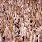 Donald Trump Will Face Nude Women at Republican National Convention