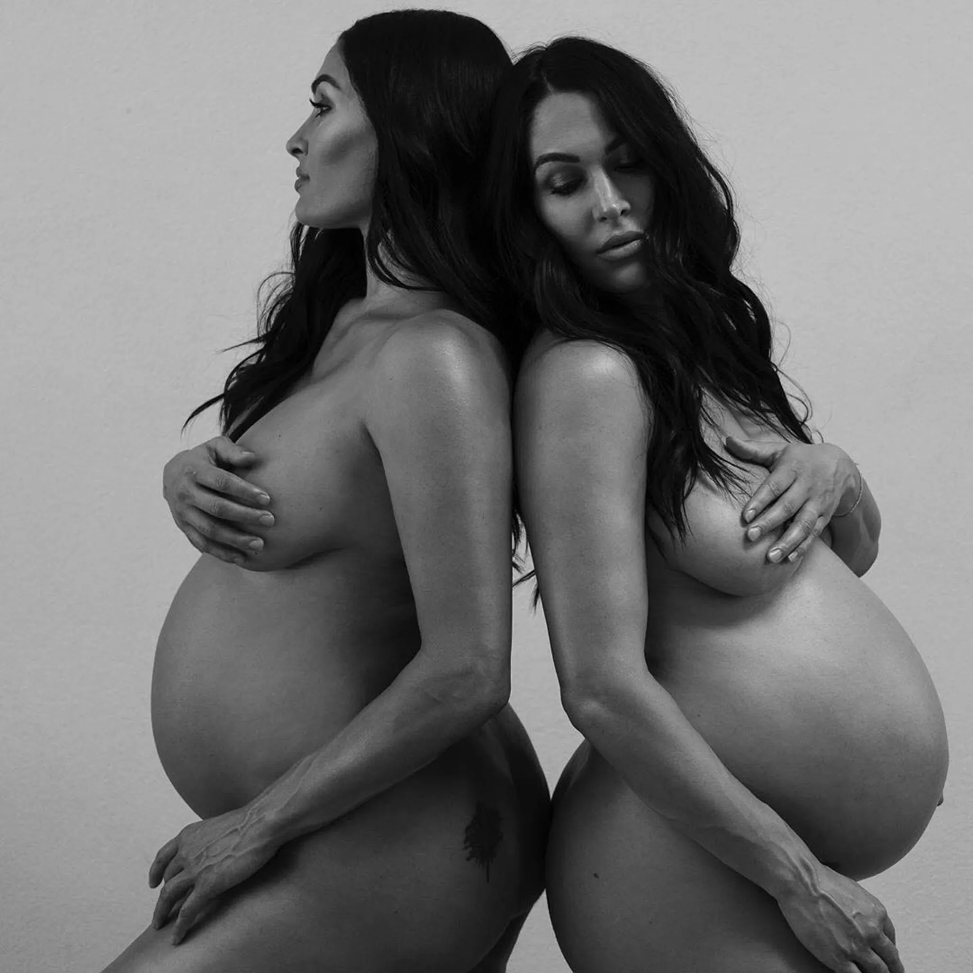 Nikki and brie bella porn (photos)