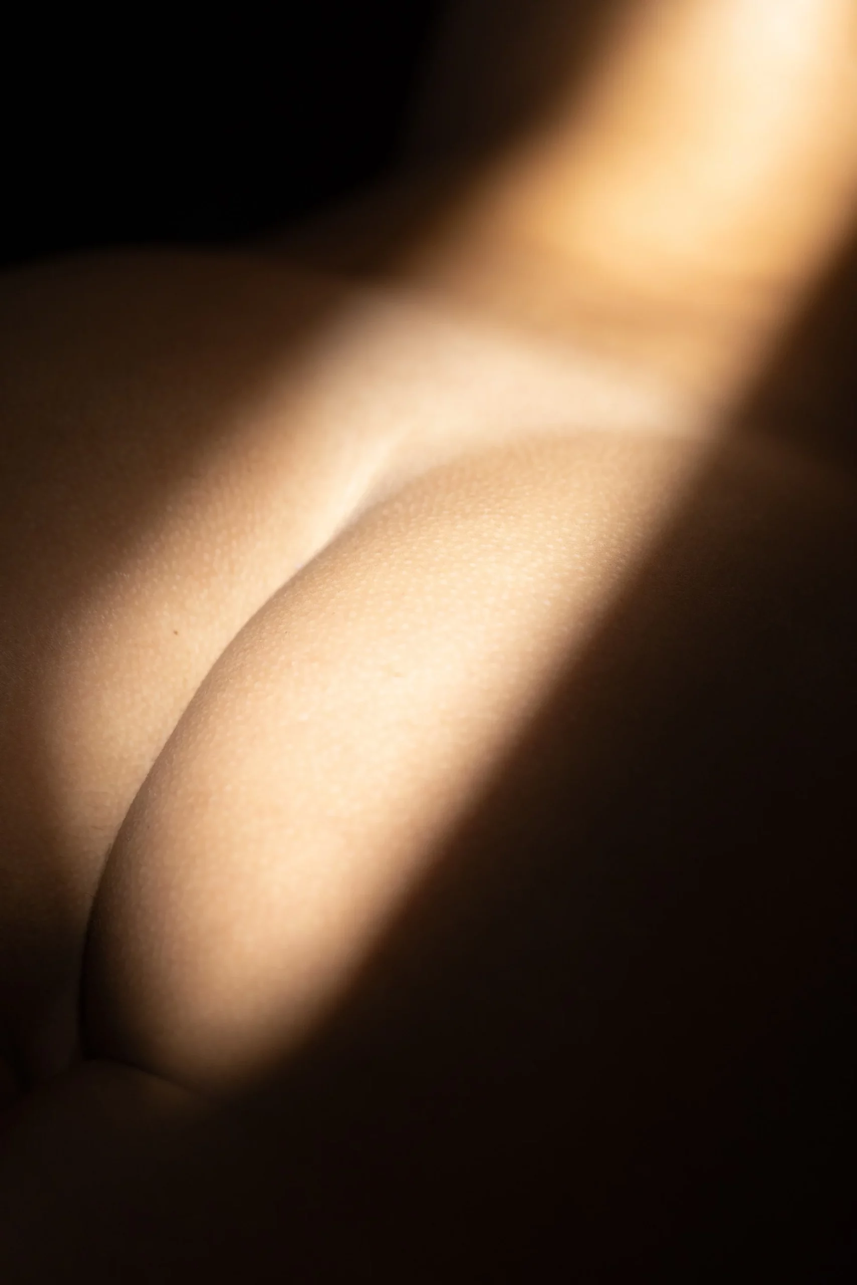 Prepared for anal (photos)
