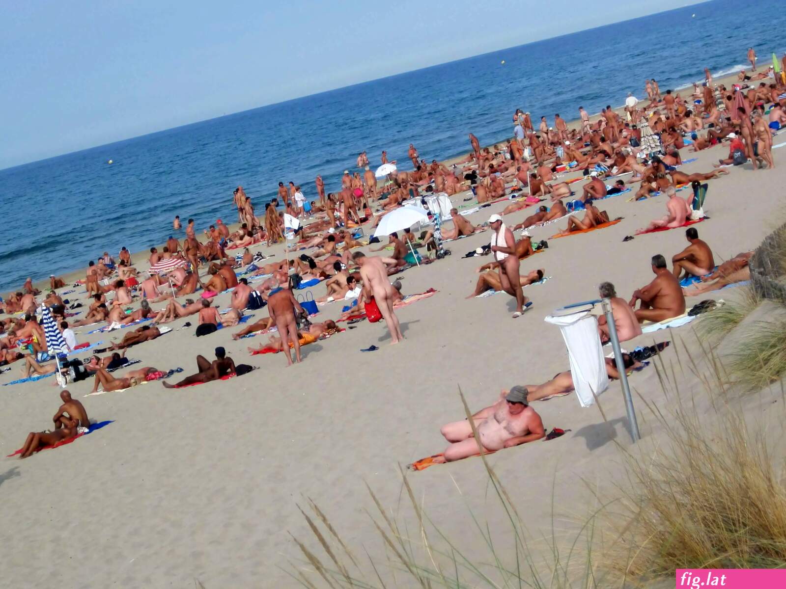 Cap d’agde new fotos nude miss (photos)