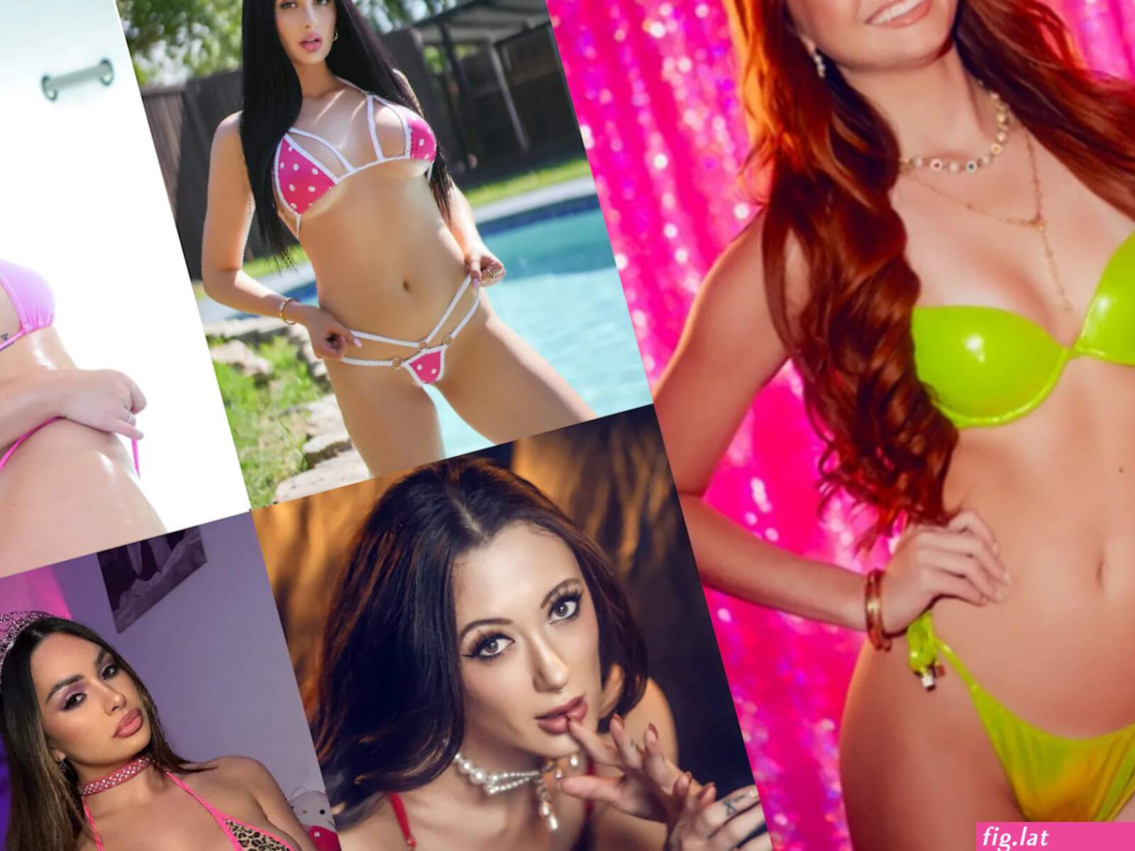 Most enthusiastic porn star (photos)