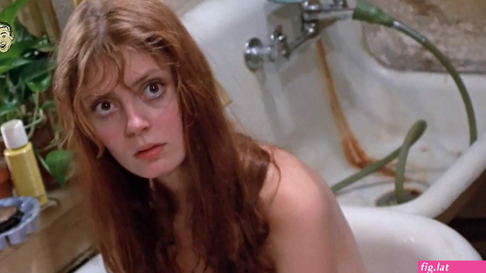 Susan sarandon nude (photos)